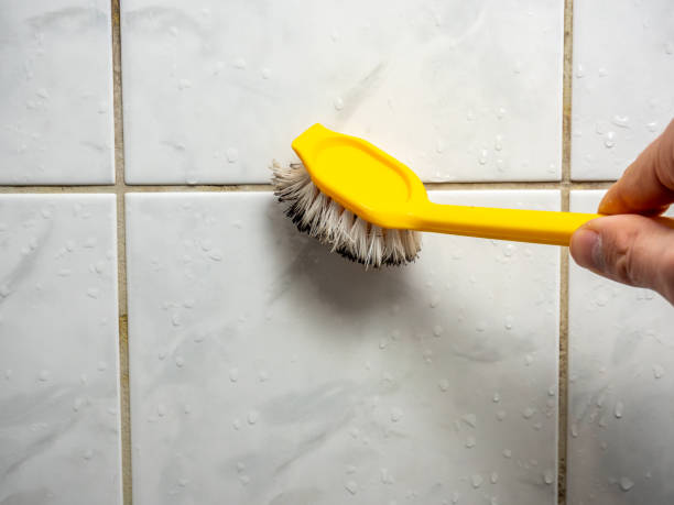 Best Office Mold Removal Services  in West Middlesex, PA