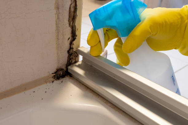 Best Professional Mold Removal  in West Middlesex, PA