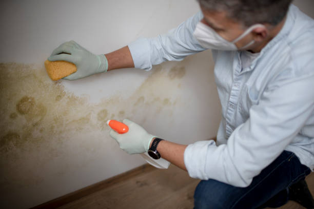 Best Mold Testing  in West Middlesex, PA