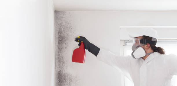 Best Residential Mold Removal  in West Middlesex, PA